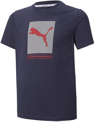 Футболка Puma Active Sports Graphic Tee 846993 06 846993 06/164 цена и информация | Рубашки для мальчиков | 220.lv