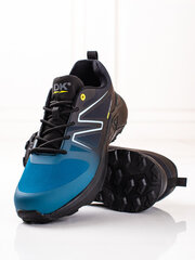 Мужская спортивная обувь DK blue Softshell цена и информация | Кроссовки мужские | 220.lv