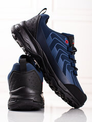 Мужские треккинговые ботинки DK Softshell синего цвета цена и информация | Кроссовки для мужчин | 220.lv