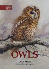 Owls 2nd Revised edition цена и информация | Развивающие книги | 220.lv