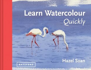Learn Watercolour Quickly: Techniques and painting secrets for the absolute beginner цена и информация | Книги об искусстве | 220.lv