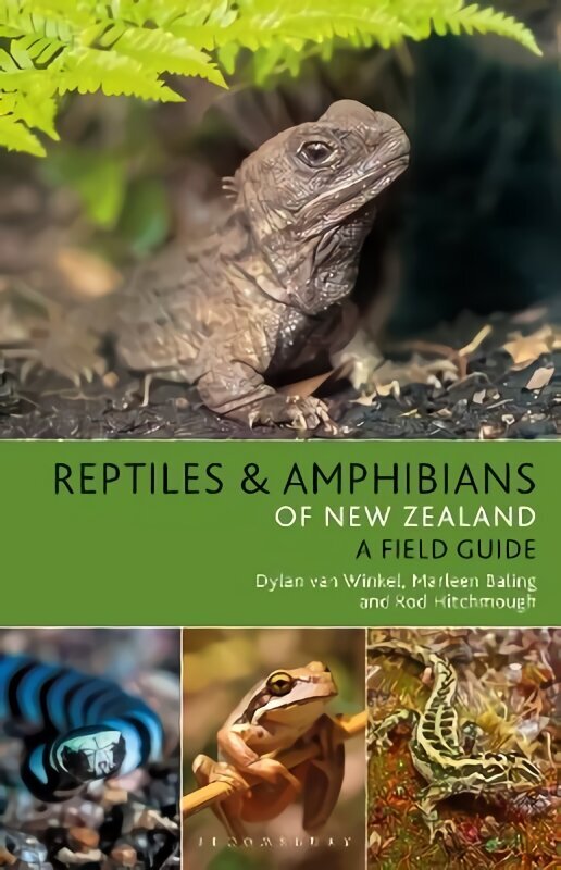 Reptiles and Amphibians of New Zealand цена и информация | Enciklopēdijas, uzziņu literatūra | 220.lv