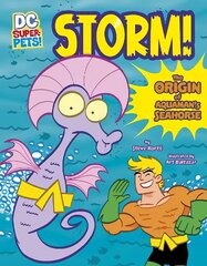 Storm!: The Origin of Aquaman's Seahorse cena un informācija | Grāmatas pusaudžiem un jauniešiem | 220.lv