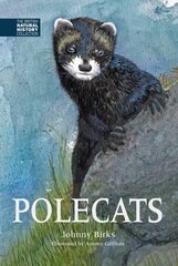 Polecats цена и информация | Развивающие книги | 220.lv