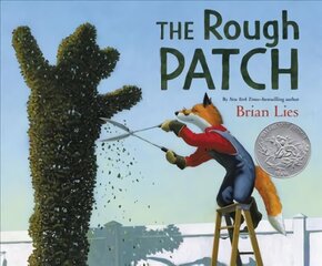 Rough Patch цена и информация | Книги для малышей | 220.lv