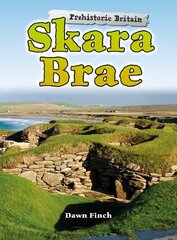 Skara Brae cena un informācija | Grāmatas pusaudžiem un jauniešiem | 220.lv