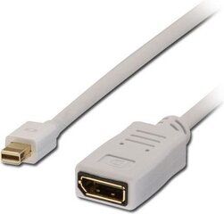 Кабель Lindy DisplayPort Mini - DisplayPort 1,5 м, белый цена и информация | Адаптеры и USB разветвители | 220.lv