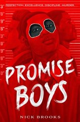 Promise Boys цена и информация | Романы | 220.lv