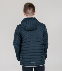 Icepeak детская куртка 60g Leal 50017-3*290, тёмно-серый 6438535430551 цена и информация | Куртки для мальчиков | 220.lv