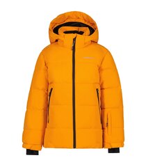 Icepeak bērnu jaka 300g Louin 50035-2*460, oranžs 6438535280286 cena un informācija | Zēnu virsjakas | 220.lv