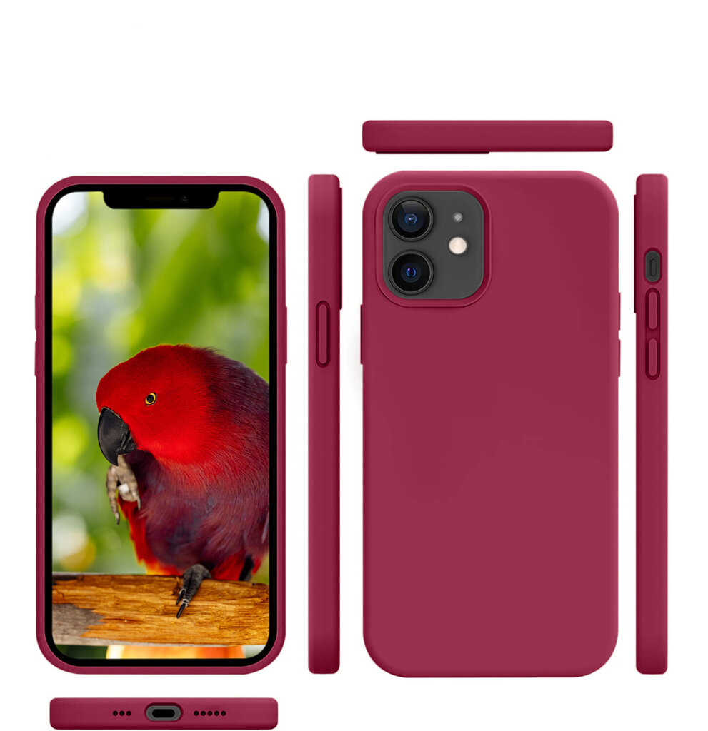 Komplekts - silikona vāciņš paredzēts iPhone 12 sarkans un Privacy aizsargstikls. цена и информация | Telefonu vāciņi, maciņi | 220.lv