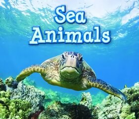 Sea Animals cena un informācija | Grāmatas pusaudžiem un jauniešiem | 220.lv