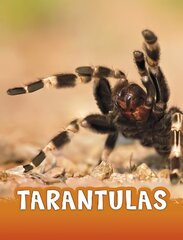 Tarantulas cena un informācija | Grāmatas pusaudžiem un jauniešiem | 220.lv