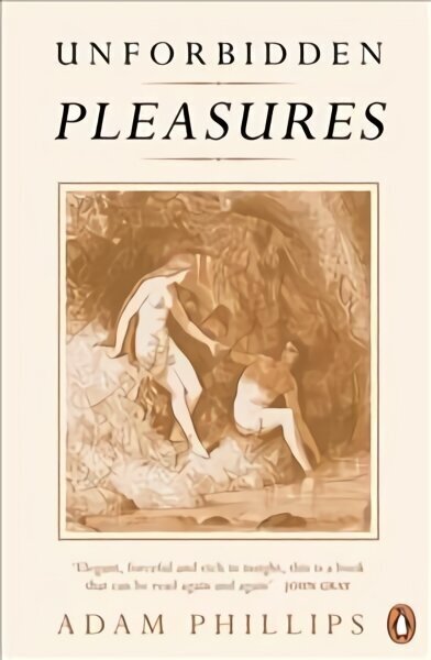 Unforbidden Pleasures цена и информация | Sociālo zinātņu grāmatas | 220.lv