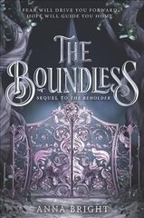 Boundless цена и информация | Книги для подростков и молодежи | 220.lv