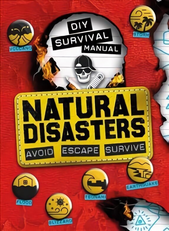 DIY Survival Manual: Natural Disasters: Avoid. Escape. Survive. цена и информация | Grāmatas pusaudžiem un jauniešiem | 220.lv