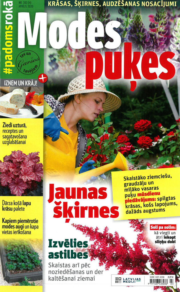 Modes puķes / Padoms rokā цена и информация | Kancelejas preces | 220.lv