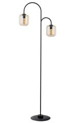 Grīdas lampa Shine 50255 cena un informācija | Stāvlampas | 220.lv