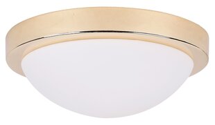 Griestu lampa 5511-81926 cena un informācija | Griestu lampas | 220.lv