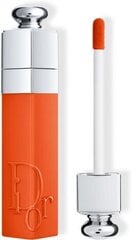 Šķidrā lūpu krāsa Dior Addict Lip Tint 641 Red Tangerine, 5 ml cena un informācija | Lūpu krāsas, balzāmi, spīdumi, vazelīns | 220.lv