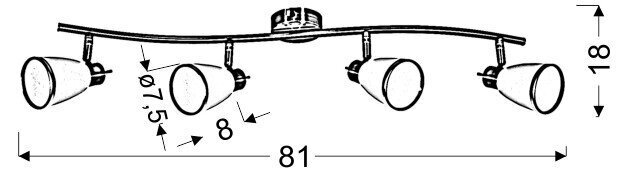 Candellux griestu lampa Regent цена и информация | Griestu lampas | 220.lv