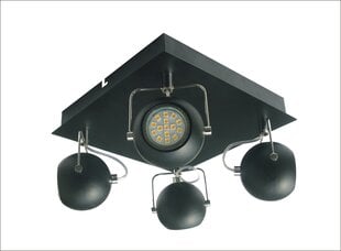 Потолочный светильник Candel 5598-25036-Z цена и информация | Потолочные светильники | 220.lv