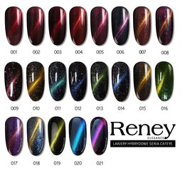 Reney Cat Eye Hybrid Lacquer 008 Galaxy 10ml цена и информация | Лаки для ногтей, укрепители | 220.lv