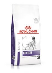 Корм Royal Canin Dental Dry Food для собак с зубными проблемами, 6 кг цена и информация | Сухой корм для собак | 220.lv