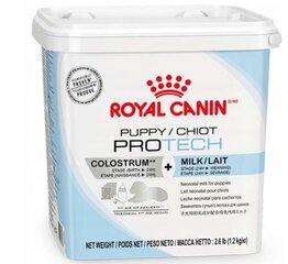 Royal Canin Puppy Pro Tech заменитель молока для щенков, 0,3 кг цена и информация | Витамины, пищевые добавки, анти-паразит продукты для собак | 220.lv