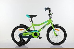 Bērnu velosipēds Gust Raser 18'' Green cena un informācija | Velosipēdi | 220.lv