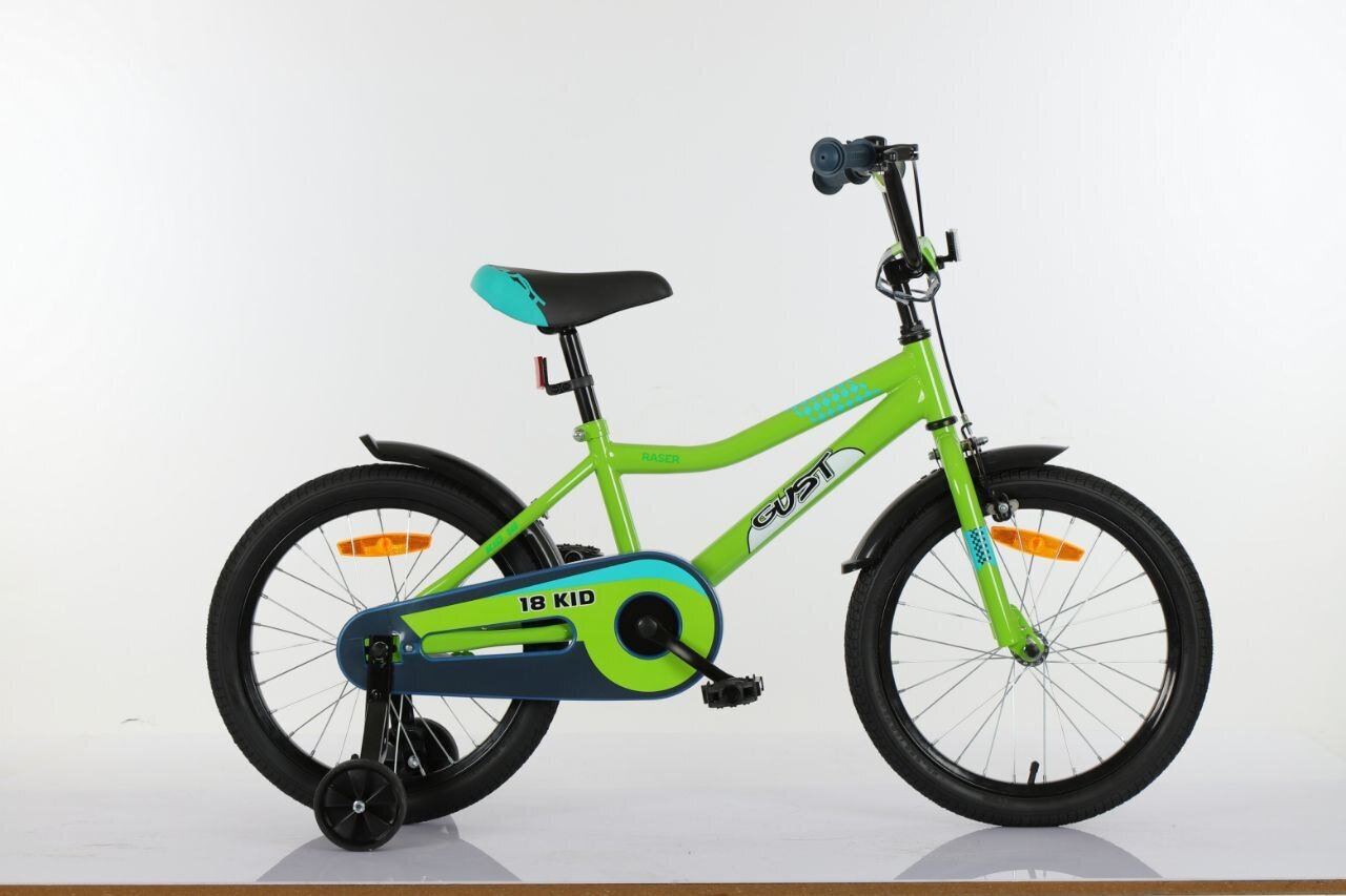 Bērnu velosipēds Gust Raser 18'' Green цена и информация | Velosipēdi | 220.lv