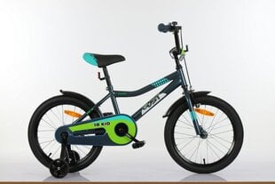 Детский велосипед Gust Raser 18'' серый цена и информация | Велосипеды | 220.lv