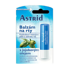 Бальзам для губ Astrid Lip balm с маслом жожоба, 4.8 г цена и информация | Помады, бальзамы, блеск для губ | 220.lv