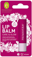 Barojošs lūpu balzams Care & Glow (Lip Balm) 4,6 g cena un informācija | Lūpu krāsas, balzāmi, spīdumi, vazelīns | 220.lv