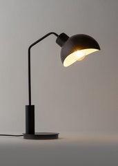 Настольная лампа Roy 50326 цена и информация | Настольные светильники | 220.lv