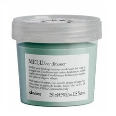 Кондиционер для длинных и поврежденных волос Davines Essential Haircare Melu, 250 мл цена и информация | Бальзамы, кондиционеры | 220.lv