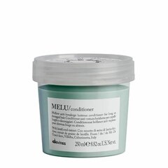 Кондиционер для длинных и поврежденных волос Davines Essential Haircare Melu, 250 мл цена и информация | Бальзамы, кондиционеры | 220.lv