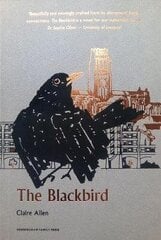 Blackbird цена и информация | Фантастика, фэнтези | 220.lv