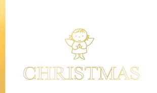 Christmas: A perfect introduction to the nativity story цена и информация | Книги для малышей | 220.lv