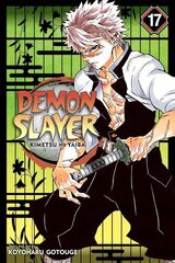 Demon Slayer: Kimetsu no Yaiba, Vol. 17 цена и информация | Фантастика, фэнтези | 220.lv