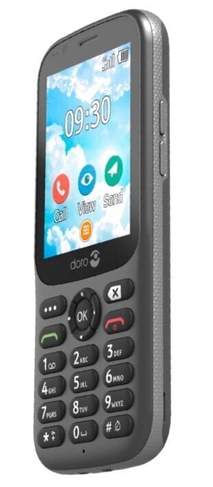 Doro 731X 4G Grey цена и информация | Mobilie telefoni | 220.lv