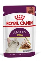 Royal Canin Sensory Smell Gravy konservi kaķiem, 12x85 g цена и информация | Консервы для котов | 220.lv