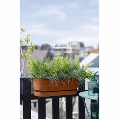 Банка Elho Greenville Easy 21 x 52 x 19,5 cm Коричневый цена и информация | Вазоны | 220.lv