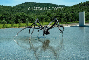 Chateau Lacoste цена и информация | Рассказы, новеллы | 220.lv