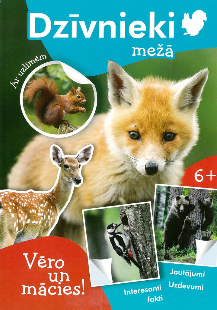 Dzīvnieki mežā. Vēro un mācies! cena un informācija | Krāsojamās grāmatas | 220.lv