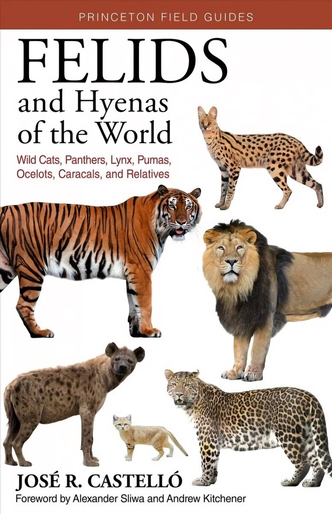 Felids and Hyenas of the World: Wildcats, Panthers, Lynx, Pumas, Ocelots, Caracals, and Relatives цена и информация | Enciklopēdijas, uzziņu literatūra | 220.lv