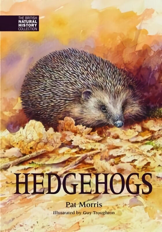 Hedgehogs cena un informācija | Grāmatas par veselīgu dzīvesveidu un uzturu | 220.lv