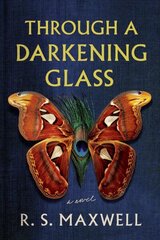 Through a Darkening Glass: A Novel цена и информация | Фантастика, фэнтези | 220.lv