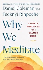 Why We Meditate: 7 Simple Practices for a Calmer Mind cena un informācija | Pašpalīdzības grāmatas | 220.lv