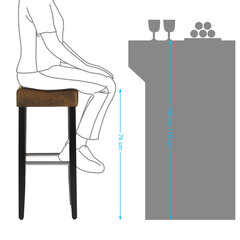 Комплект барных стульев, искусственная кожа, цвет коричневый цена и информация | Стулья для кухни и столовой | 220.lv